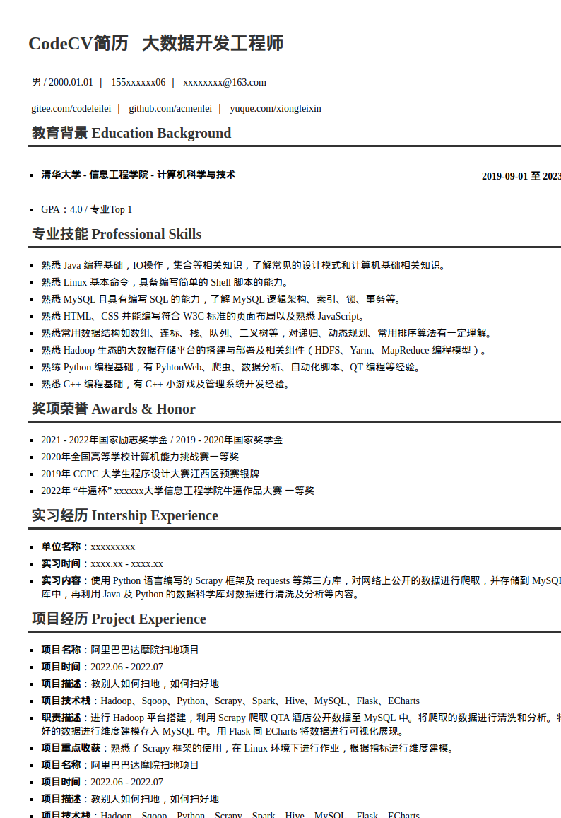 大数据开发工程师简历模板预览图